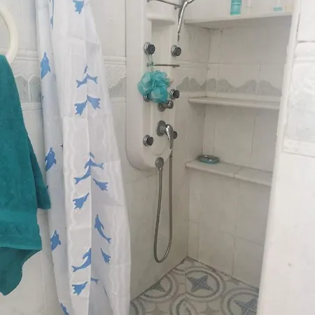 Apartment Orchid Of