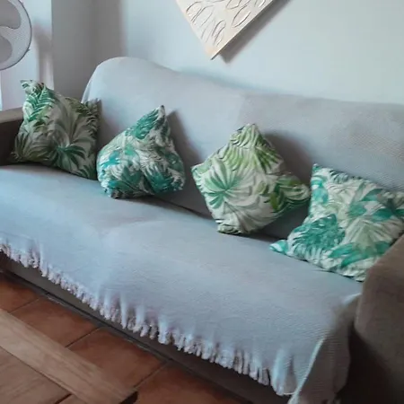 Orchid Of Apartment