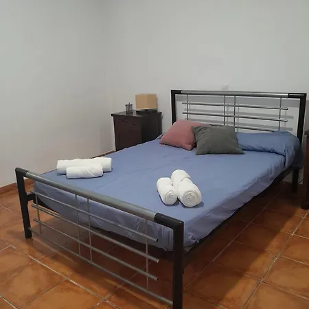 Orchid Of Apartament