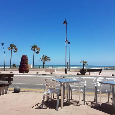 Orchid Of * Estepona
