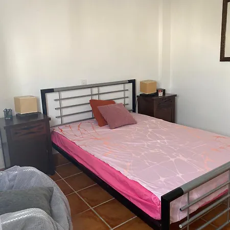 Orchid Of Apartment Estepona