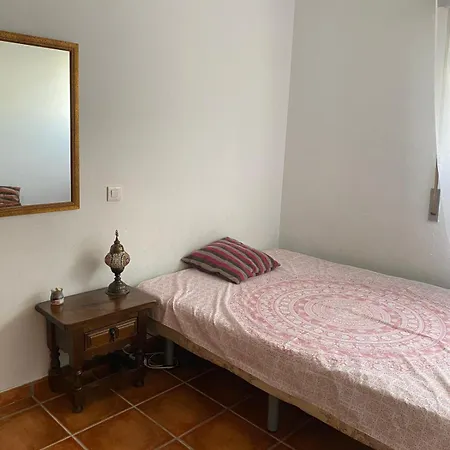 Orchid Of Apartament *